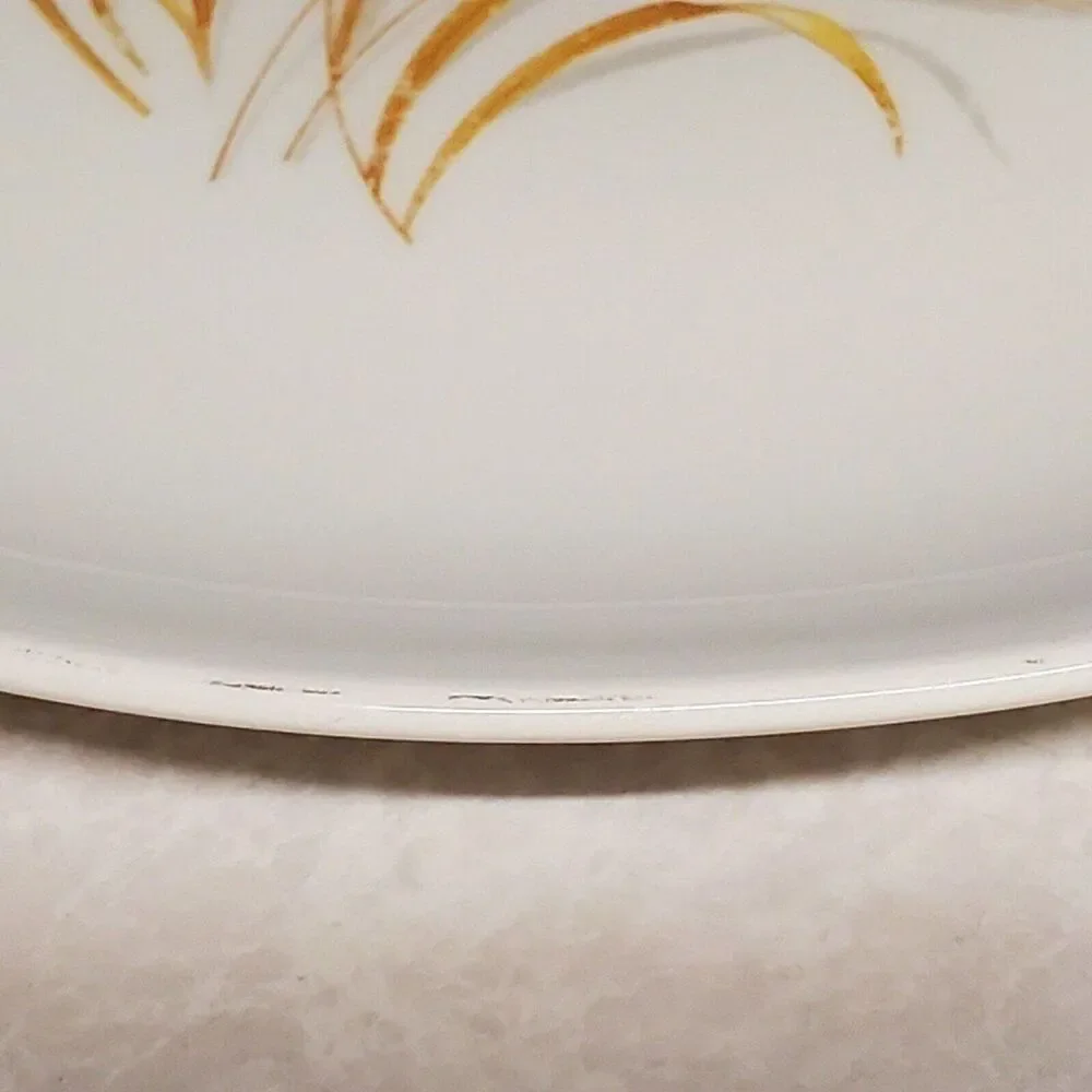Golden Wheat 9.25” Dinner Plate Classic Mid-Century China Homer Laughlin